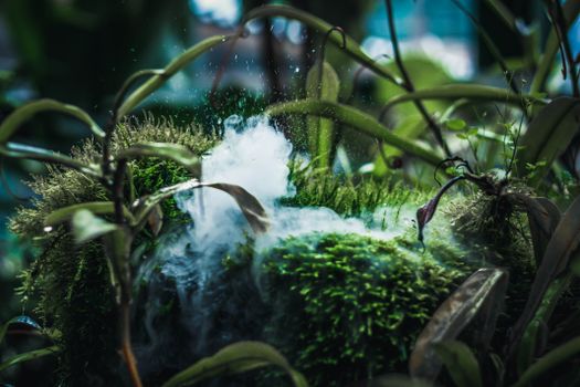 Green Plants