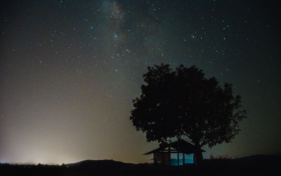 星空下，树木和房屋的剪影呈现出宇宙的特征