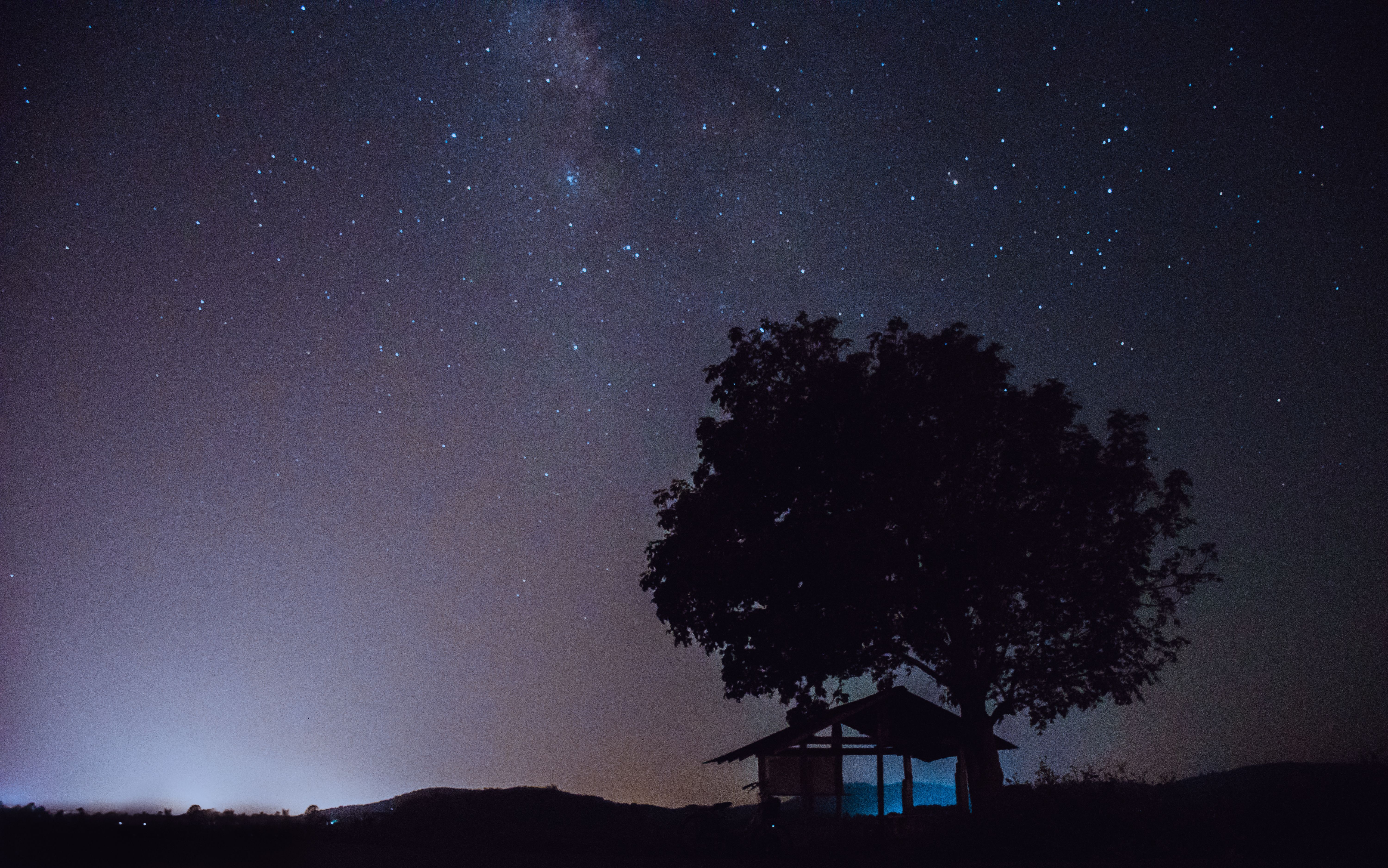 星空下，一棵树的剪影与银河系构成庇护所