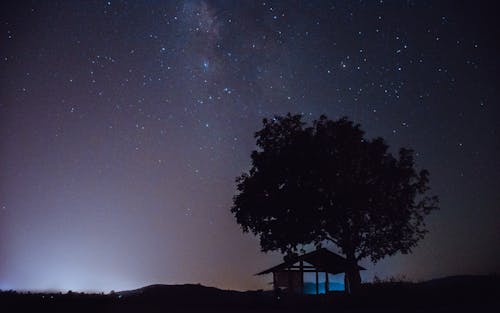 Silhouette of Tree and House Under Starry Sky