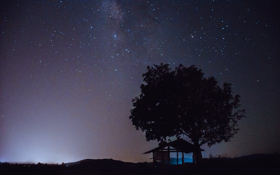 Silhouette of a tree and shelter under a starry night sky with the Milky Way.