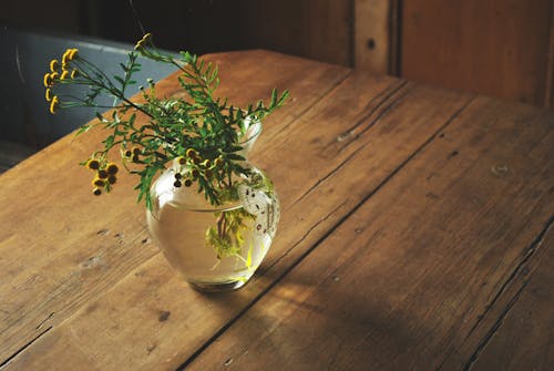 Bunch of fresh yellow tansy flowers in glass vase with water placed on wooden table in daytime