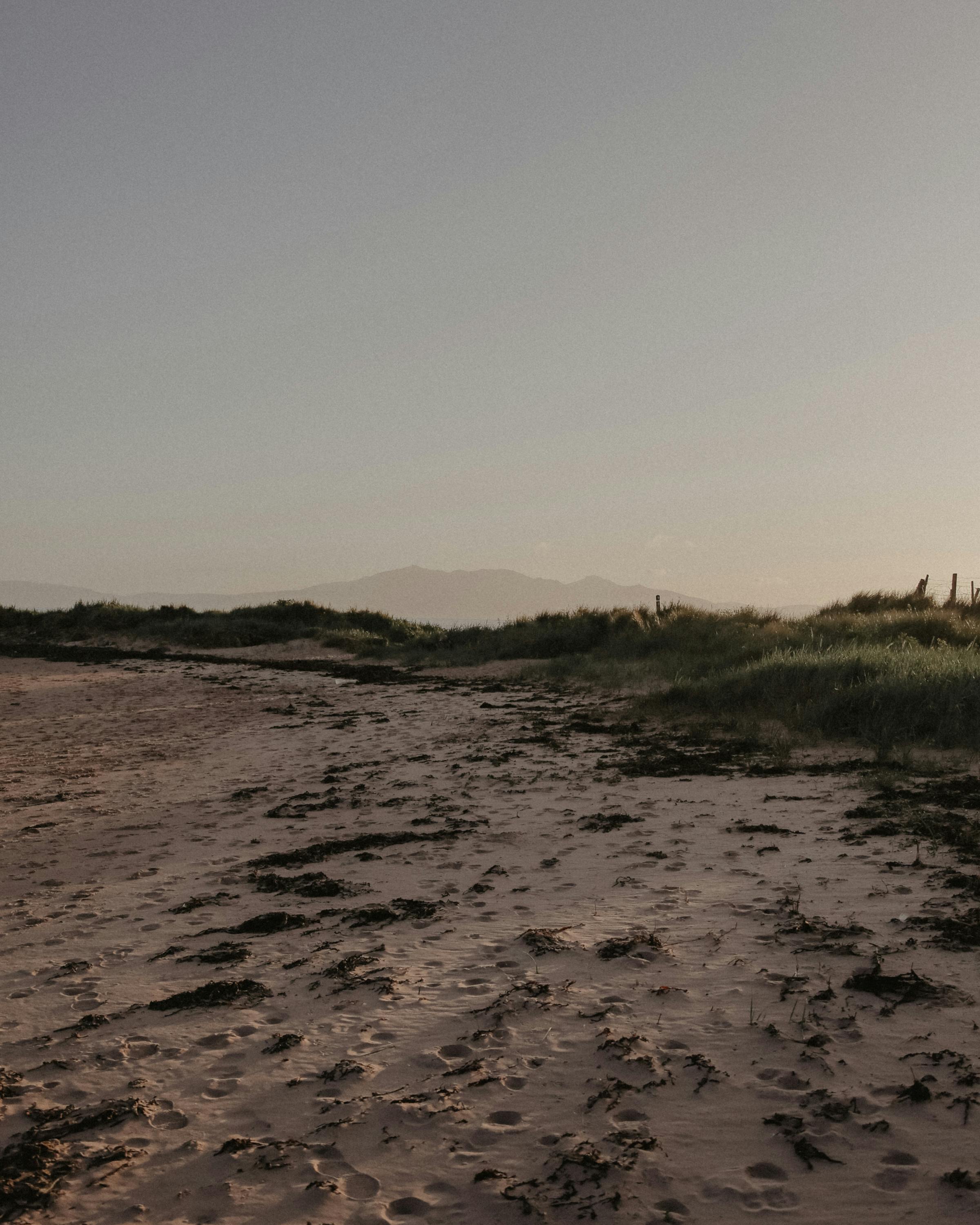 Serene beach landscape in Scotland with grassy dunes under a soft sunset sky.