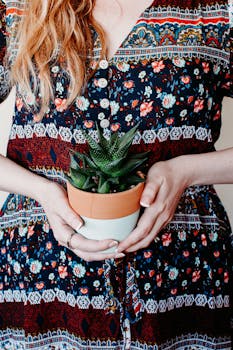 一位穿着花卉连衣裙的女子，手捧一盆背景带有图案设计的多肉植物