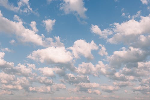 คลังภาพถ่ายฟรี ของ skyscape, กลางวัน, ขาว