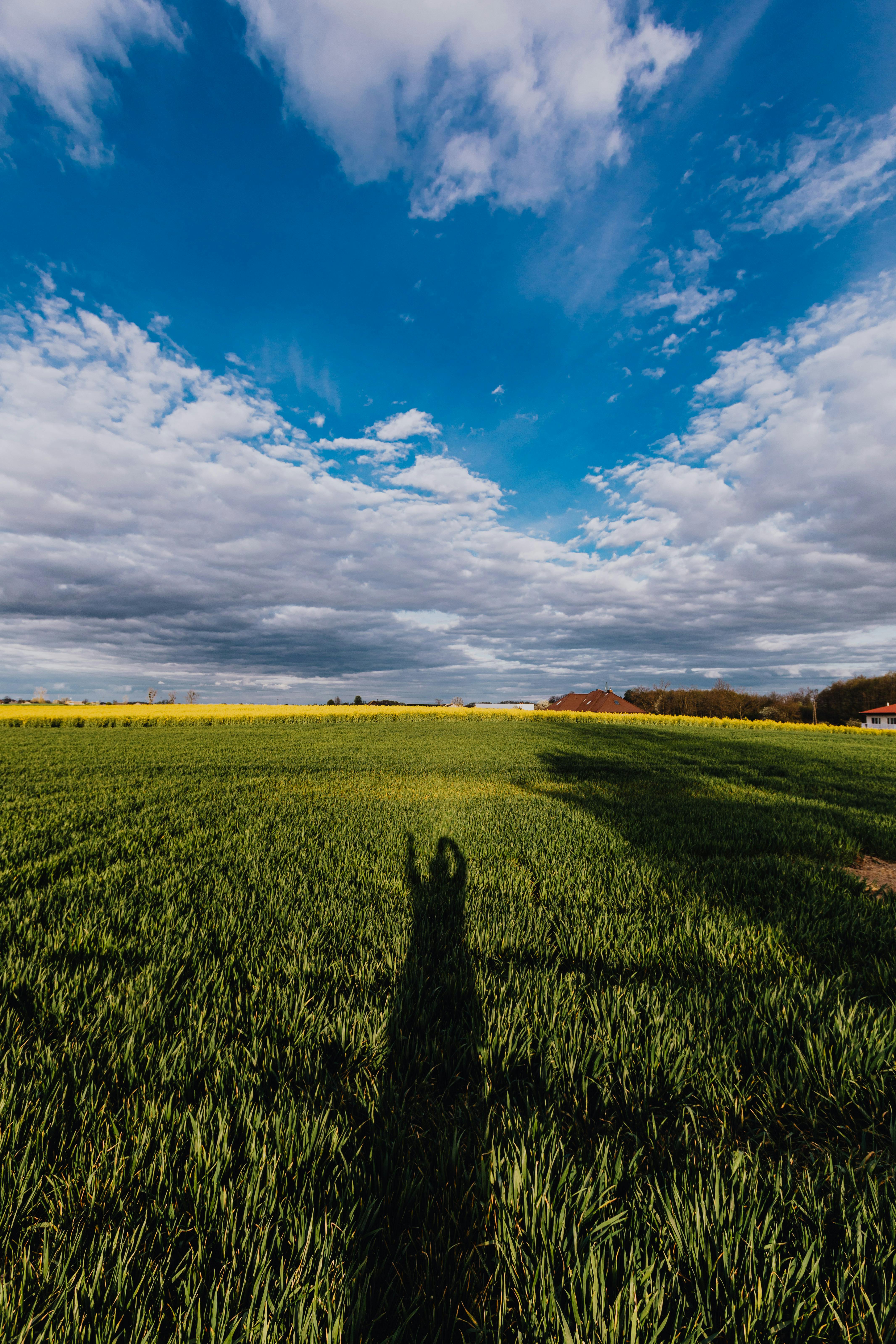 Green summer field in countryside with long shadow of person