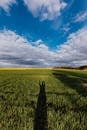 Green summer field in countryside with long shadow of person