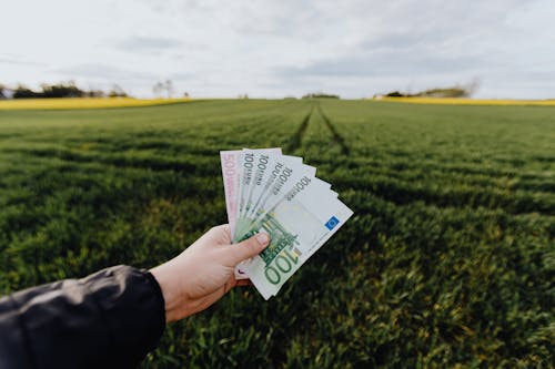 Free Crop farmer showing money in green summer field in countryside Stock Photo