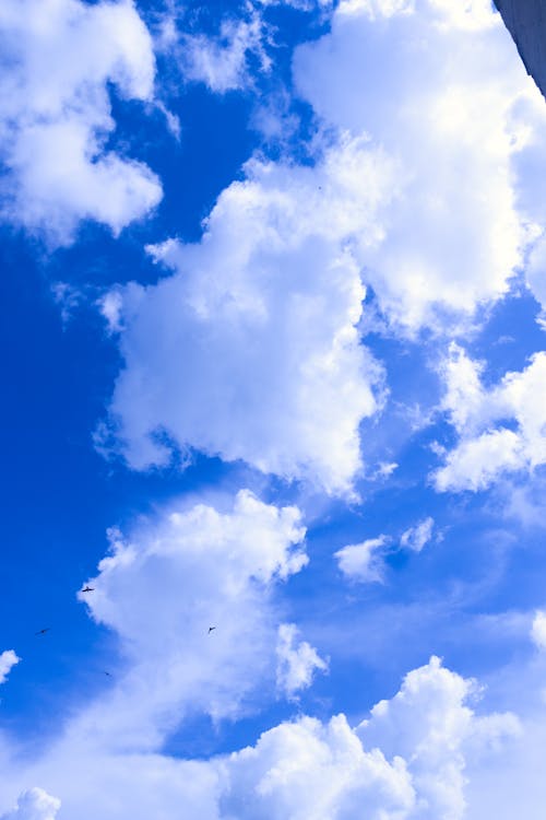 구름, 블루, 아름다운의 무료 스톡 사진