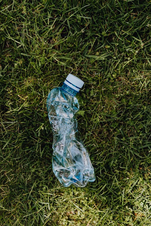 Free Crumpled plastic bottle on green lawn Stock Photo