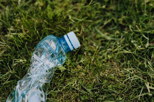 Free From above of blue crumpled plastic bottle thrown on green park lawn on sunny summer day Stock Photo