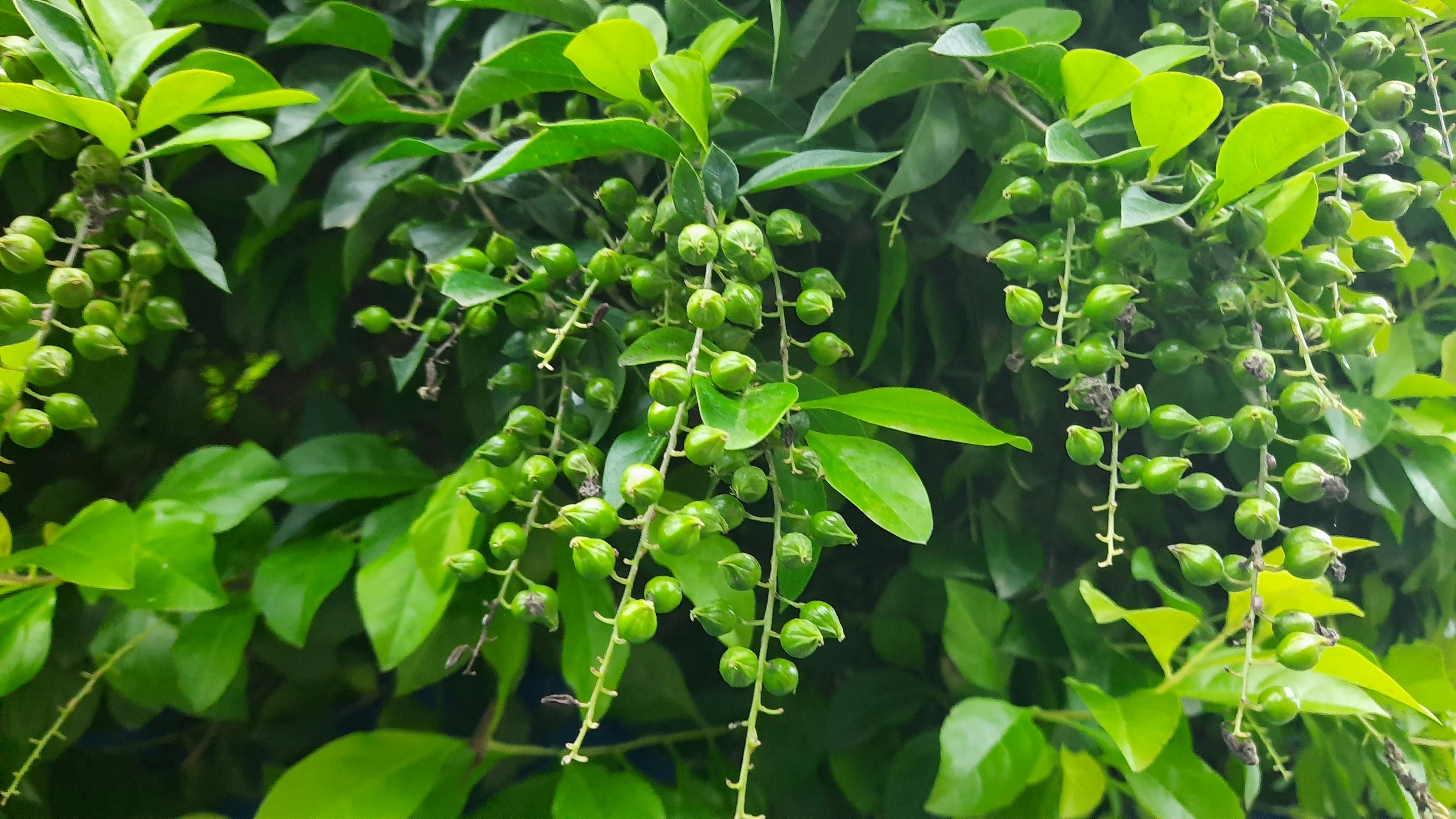 psychiatrist discussing treatment plan