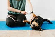 Crop unrecognizable woman training small purebred dog on yoga mat