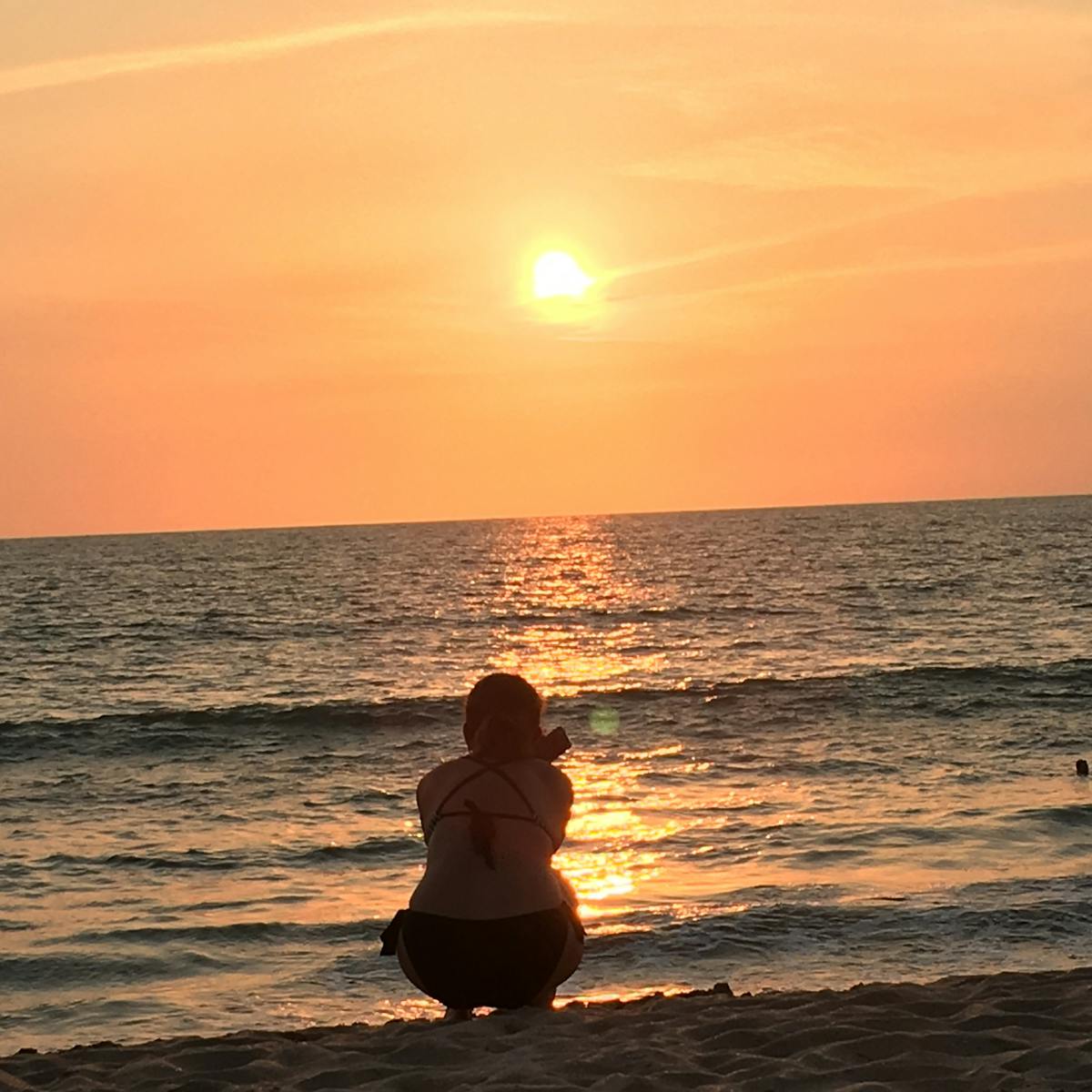 Wie funktioniert ein GPS Tracker für Hunde und Katzen? Einfach erklärt