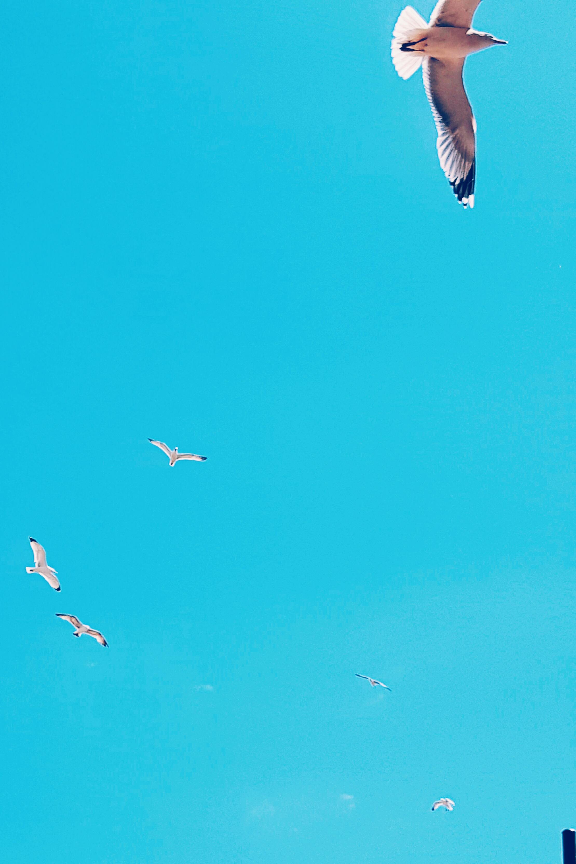 Person lifting weights