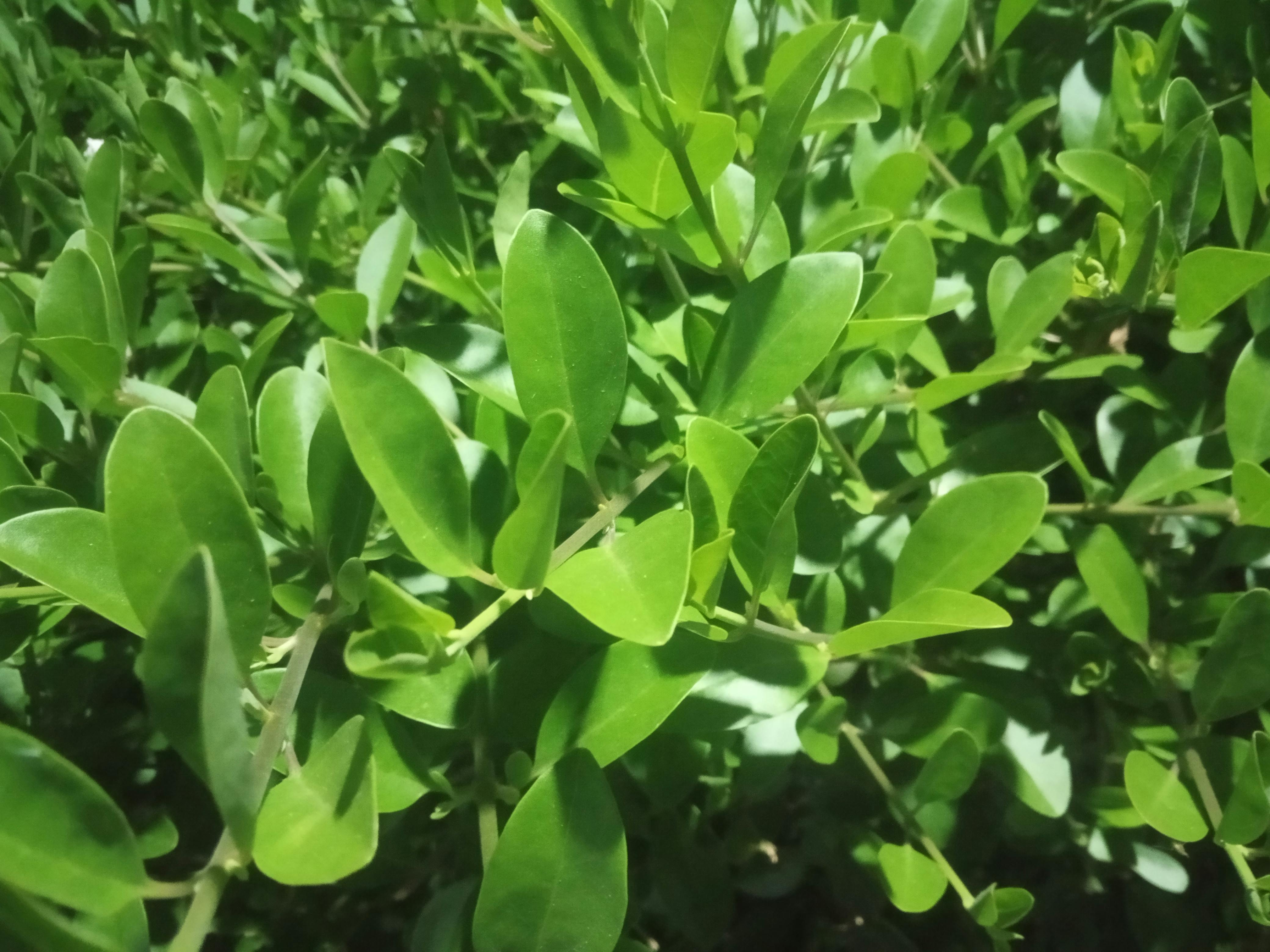 Messy tangled bed sheets after intense passion, hinting at wild sex and satisfaction