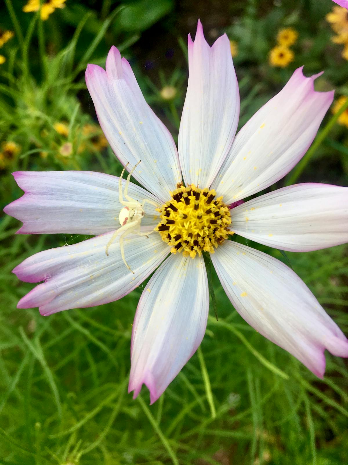 Man climbing office building stairs for a quick exercise snack during work