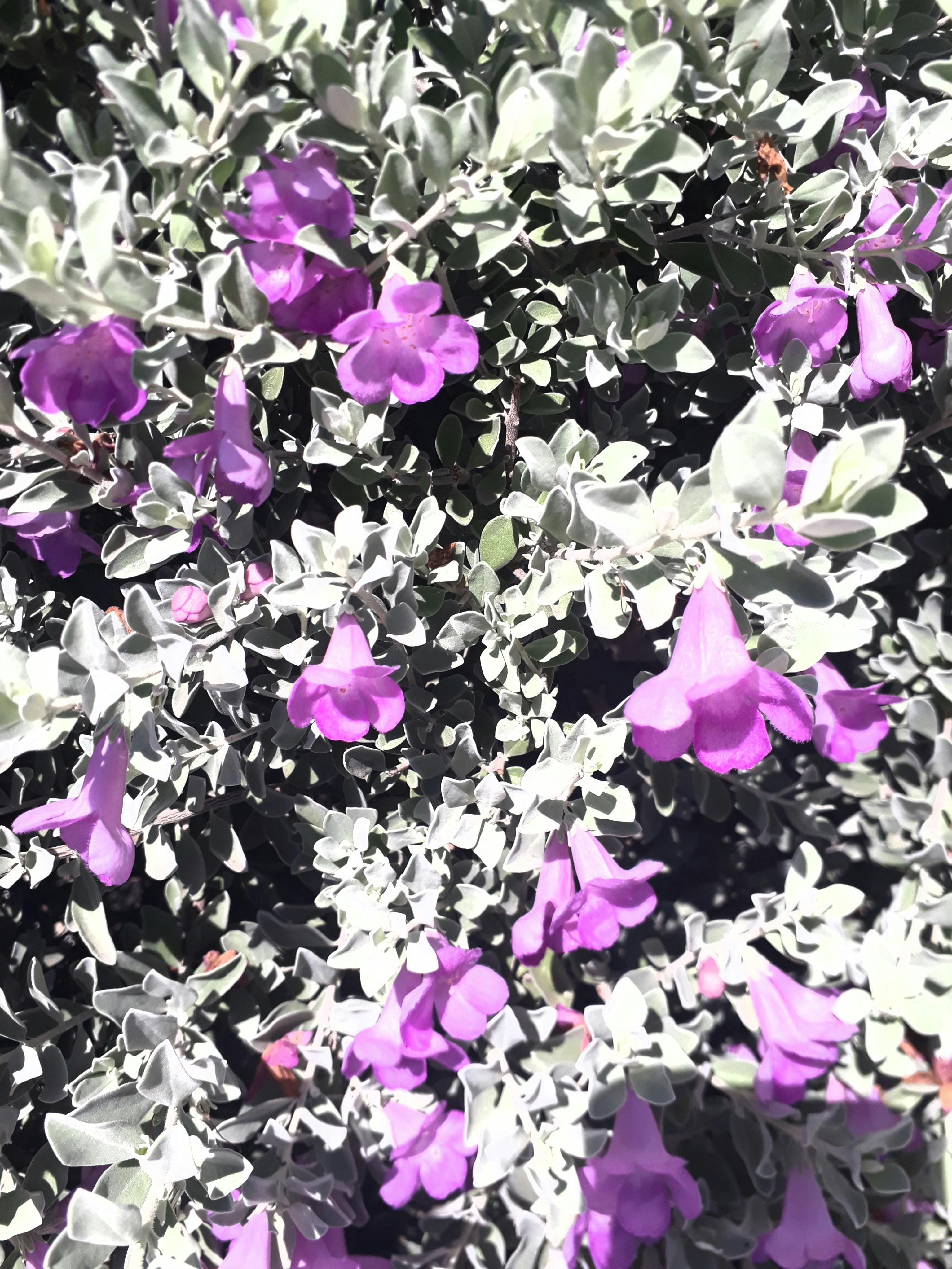 راحة وابتسامة