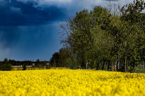 Ilmainen kuvapankkikuva tunnisteilla kauneus luonnossa, kaunis taivas, luonnonmaisema