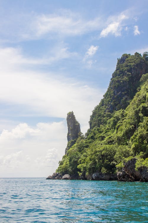 Trees on Mountain Near Sea