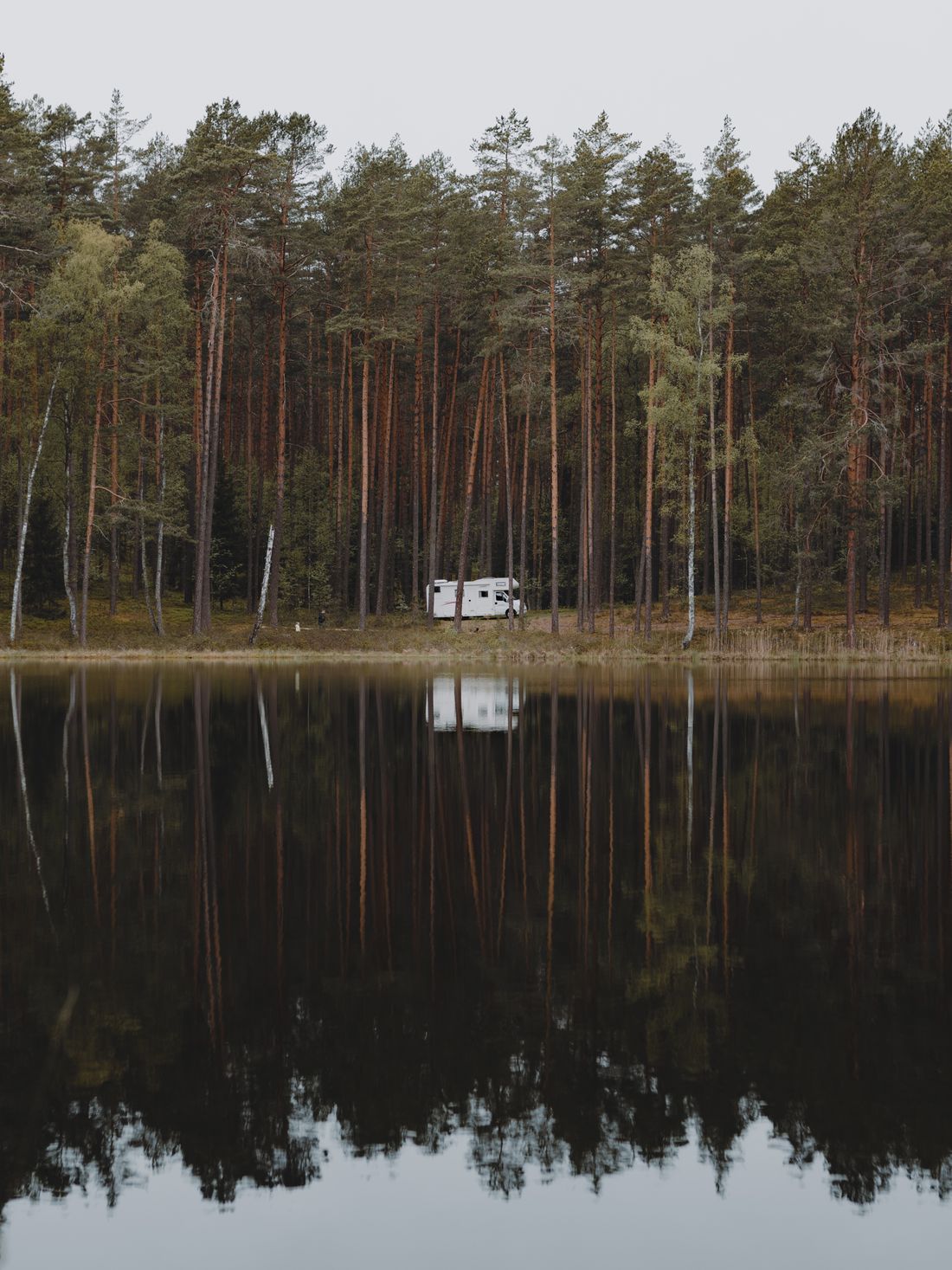 Campervan parked beside a still pine-fringed lake