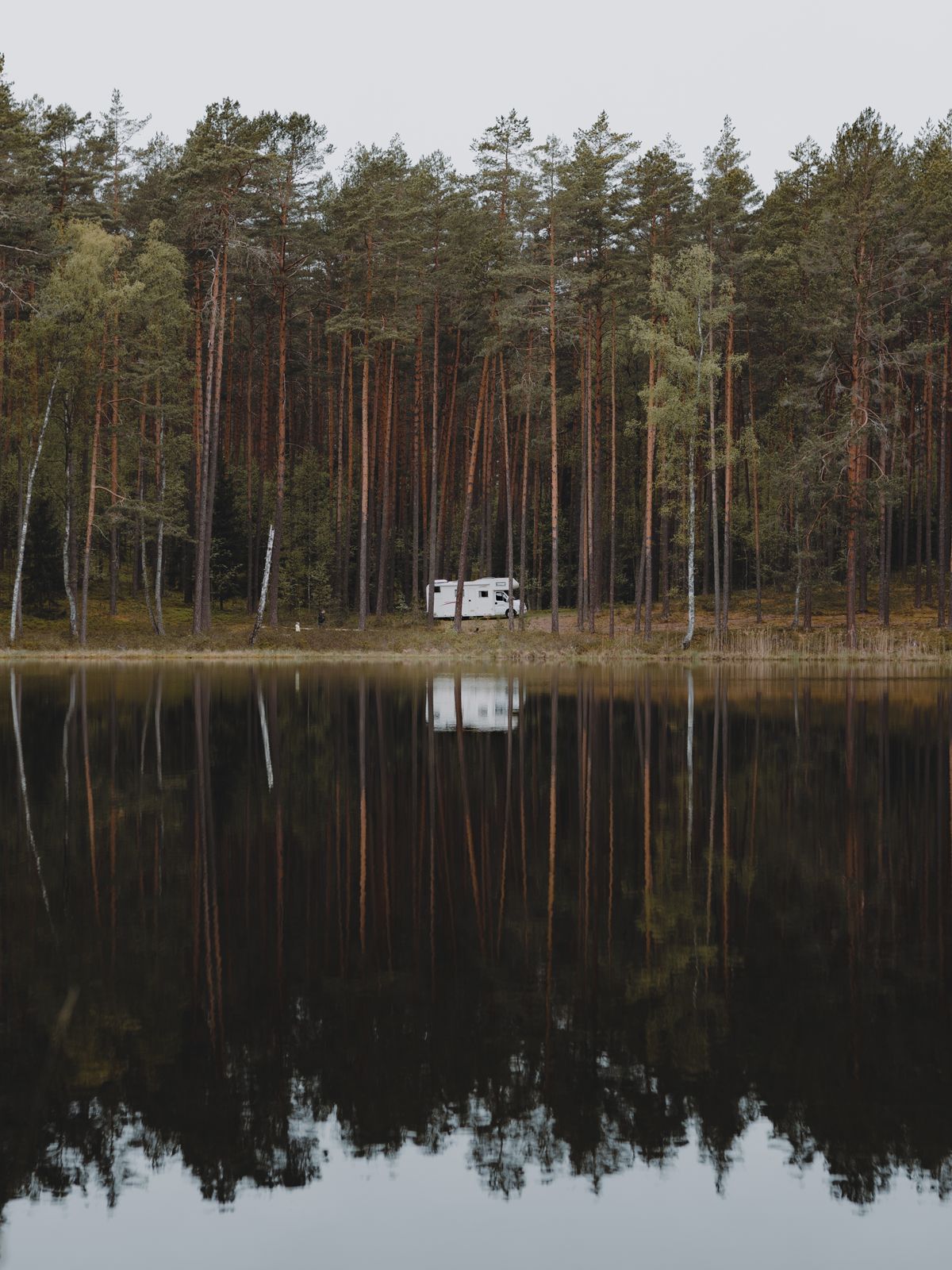 Campervan parked beside a still pine-fringed lake