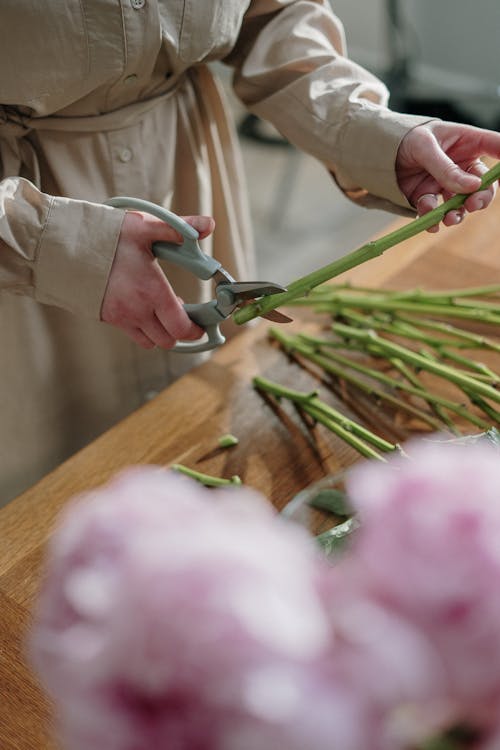 Základová fotografie zdarma na téma čerstvý, flóra, floristka