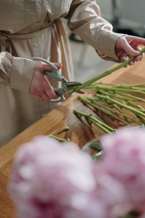 Cutting flower stems with secateurs, photo by cottonbro studio on Pexels
