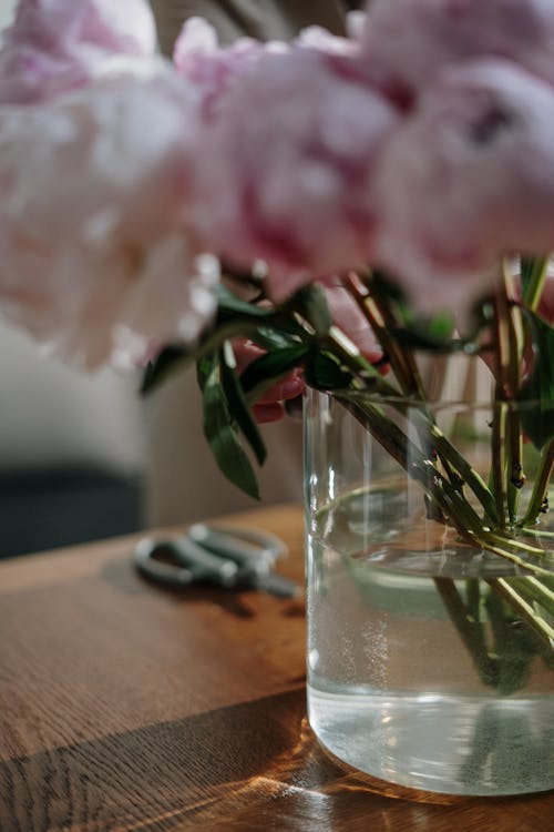 Pink Flower on Clear Glass Vase