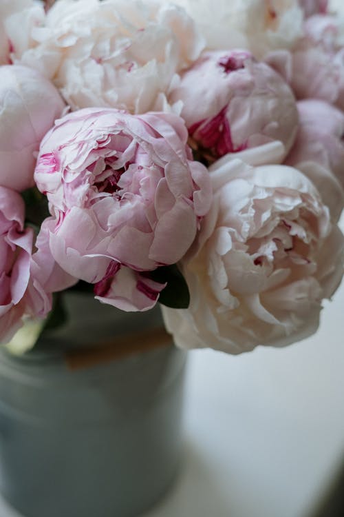 Бесплатное стоковое фото с flat lay, белые розы, букет