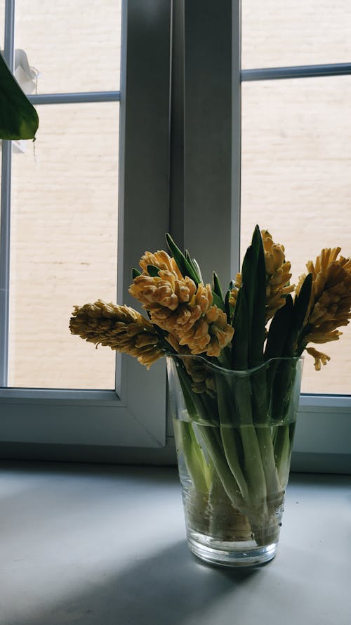 Yellow Flowers in Clear Glass Vase