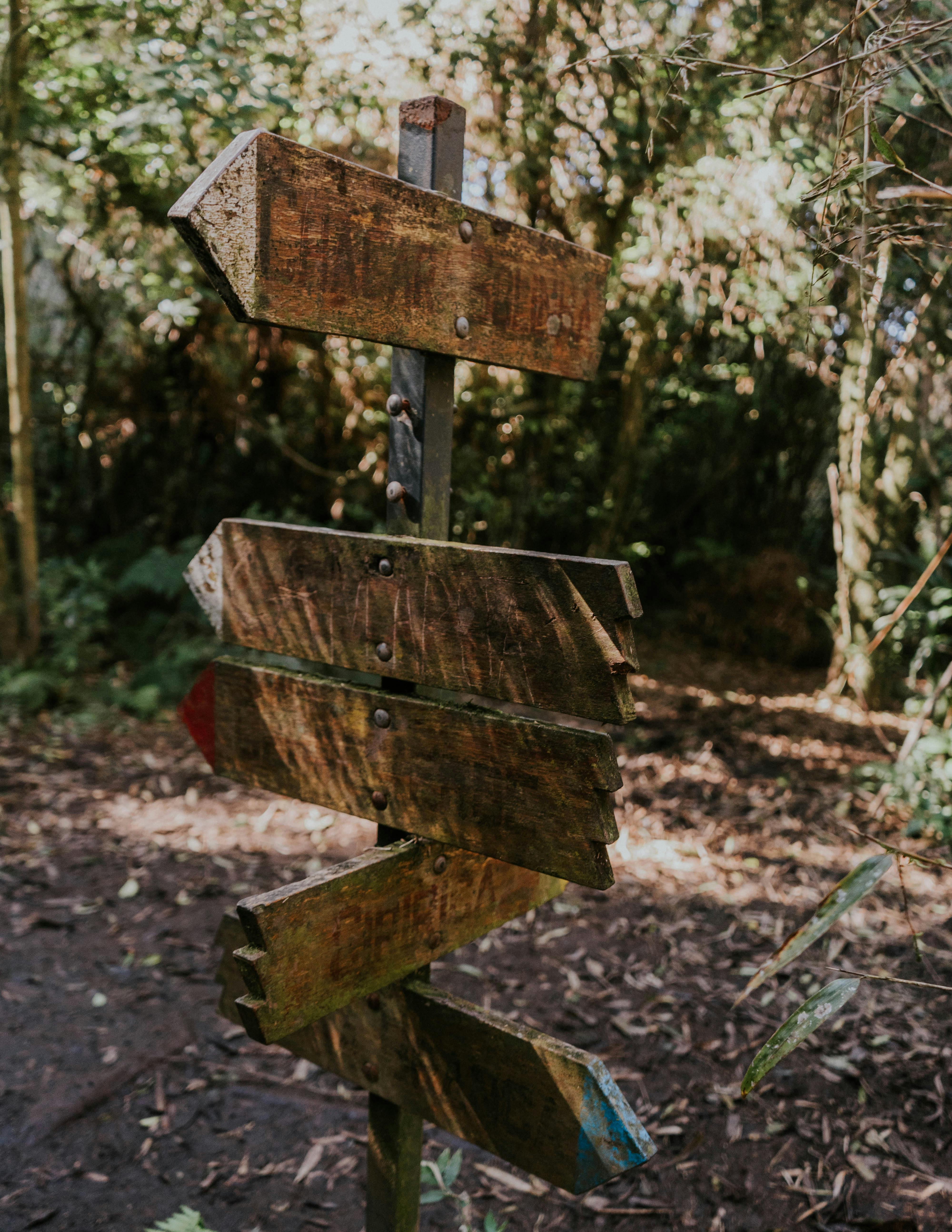 Photo of Wooden Signpost