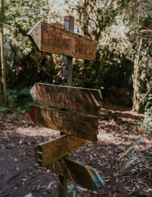 Photo of Wooden Signpost