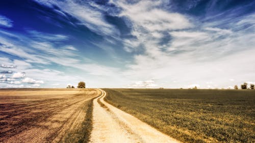 Brown Field Under Blue Sky and White Clouds