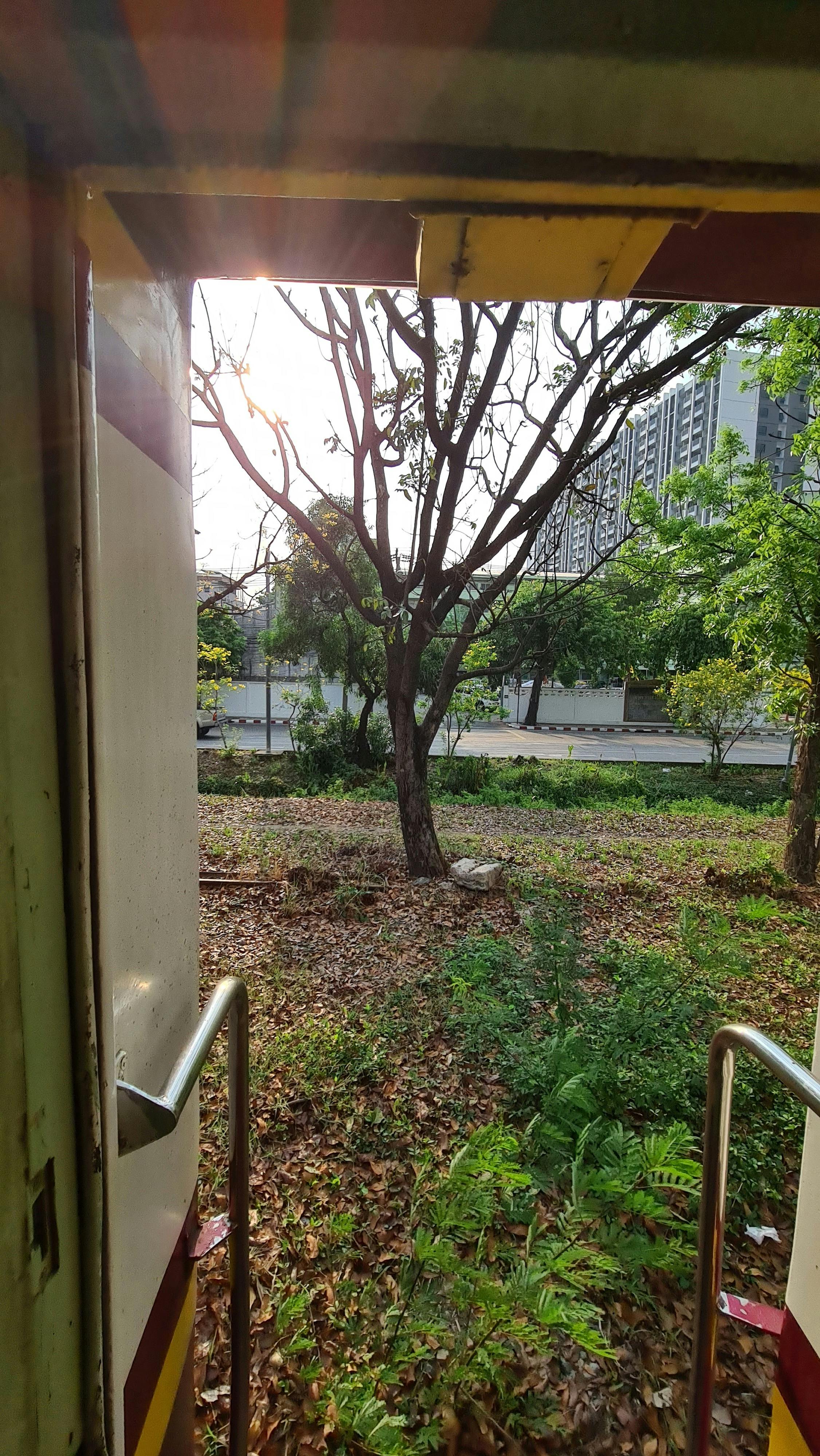 Cricketer standing at the crease under floodlights preparing to face a delivery