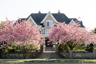 现代小屋外观配有石楼梯和砖栅栏，靠近樱花树，映衬在万里无云的天空下