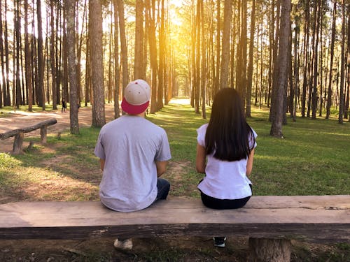 Uomo E Donna Che Si Siede Sulla Panchina Nel Bosco