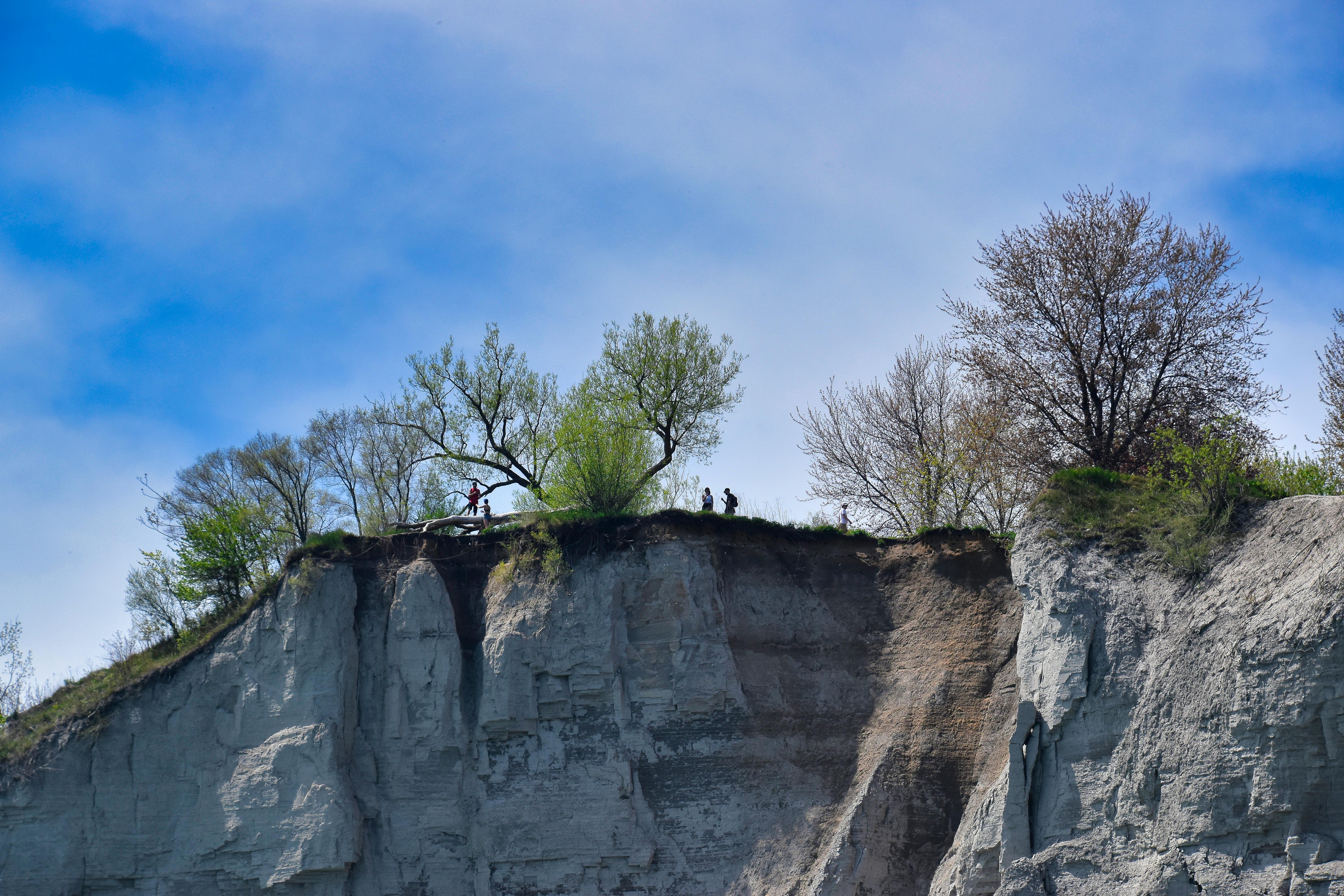 인터넷 서비스 비교 이미지