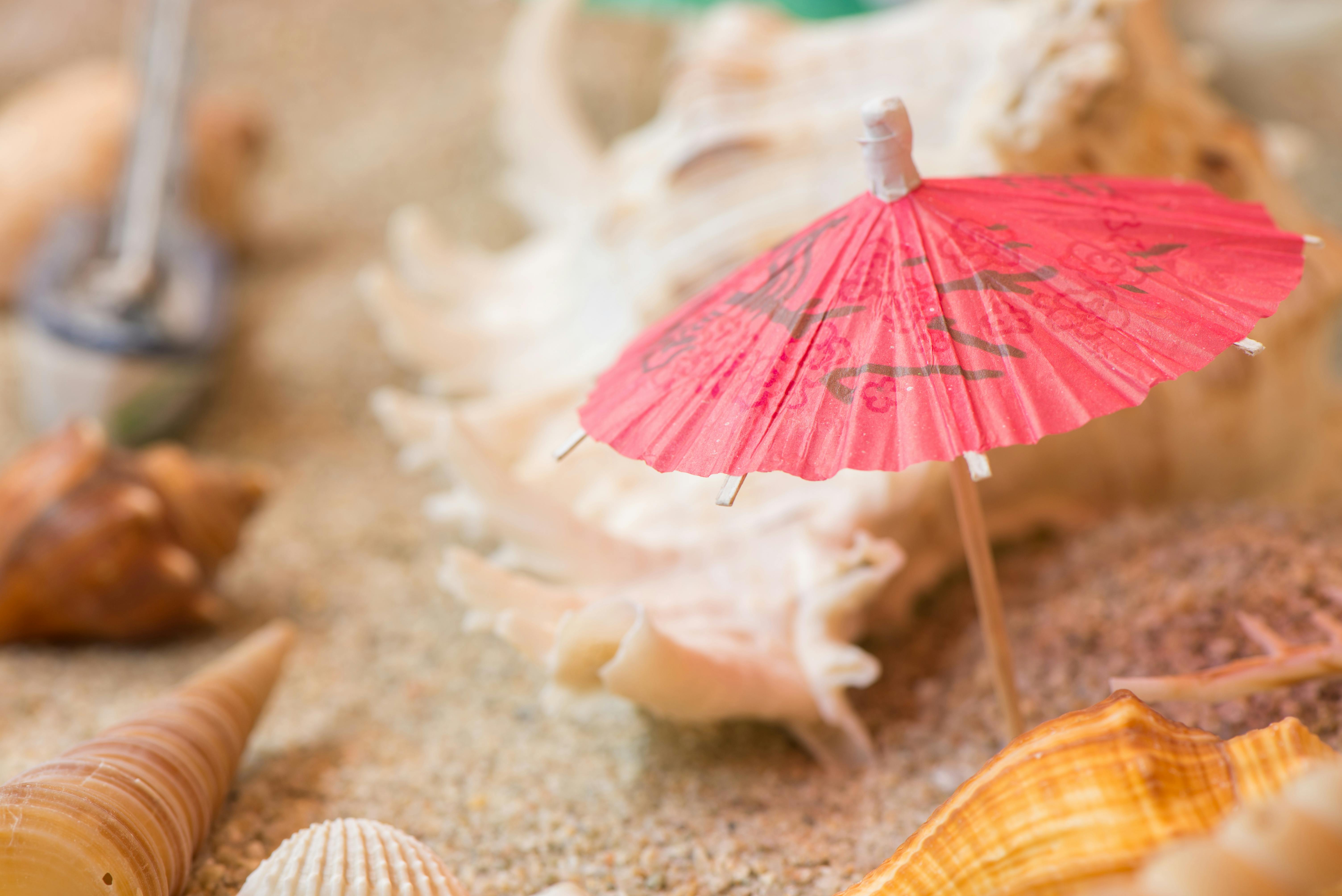 Photography Of Oil Paper Umbrella Free Stock Photo   Pexels Photo 450060 