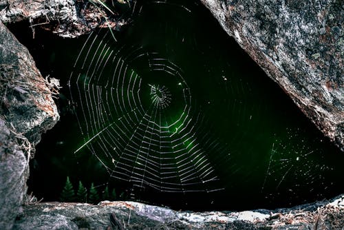 Makrofotografie Von Spinnennetz