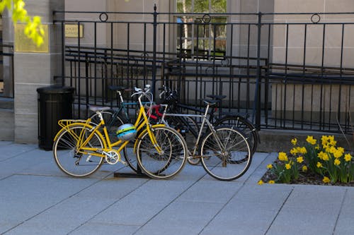 bisiklet, bisikletçi, dinlenmek içeren Ücretsiz stok fotoğraf