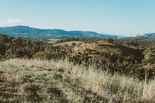 Green Grass Field Near Brown Mountain Under Blue Sky