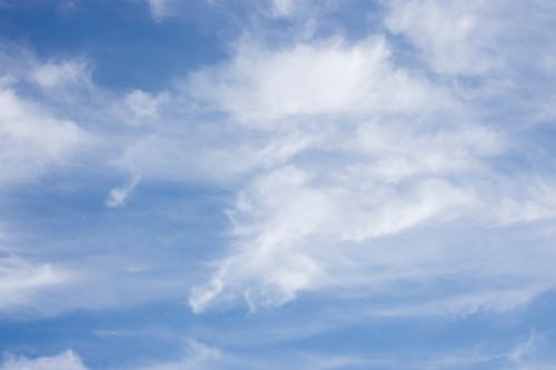 คลังภาพถ่ายฟรี ของ skyscape, ขาว, ครึ้มเมฆ