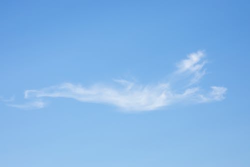 Free Blue Sky and White Clouds Stock Photo