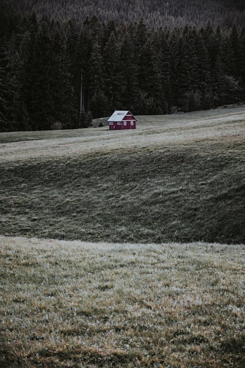 Free Красный и белый дом на поле зеленой травы Stock Photo