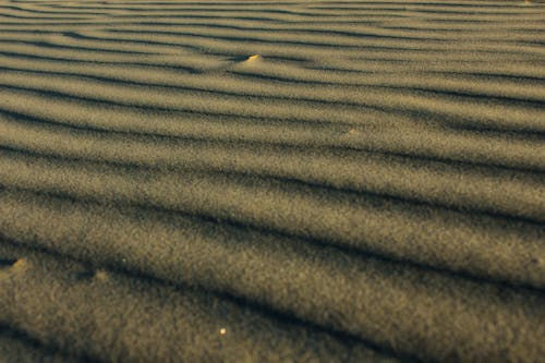 Free Wavy Sand Surface Stock Photo
