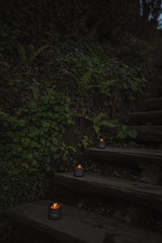 夜晚，烛光映照着木台阶，四周郁郁葱葱的绿叶环绕，营造出一种幽深而神秘的氛围