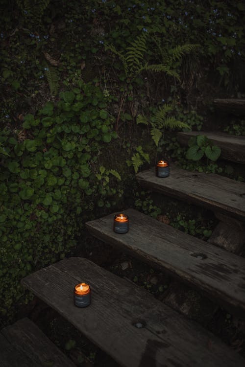 Candles on Wooden Stairs Near a Wall With Green Plants