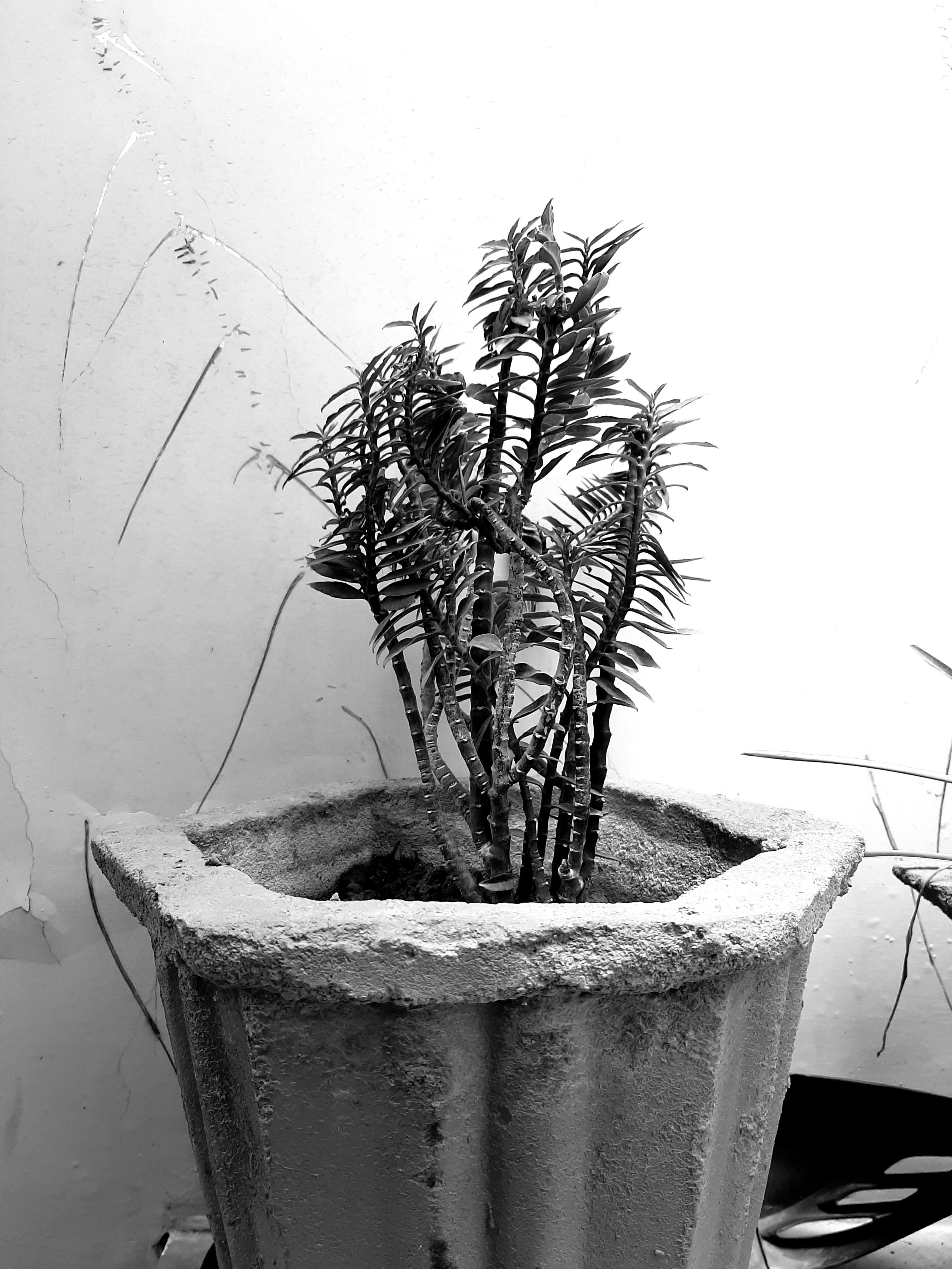 Casually dressed programmer