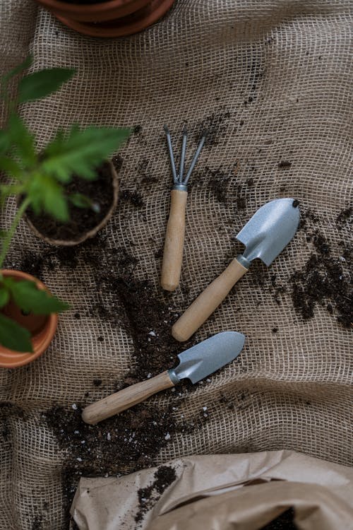 Free Top View Photo of Gardening Tools Stock Photo